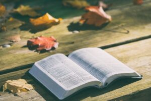 The storyline of the Scripture and the Gospel in ‘one long sentence’ and one paragraph
